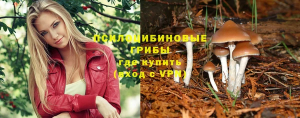 СК Алексеевка