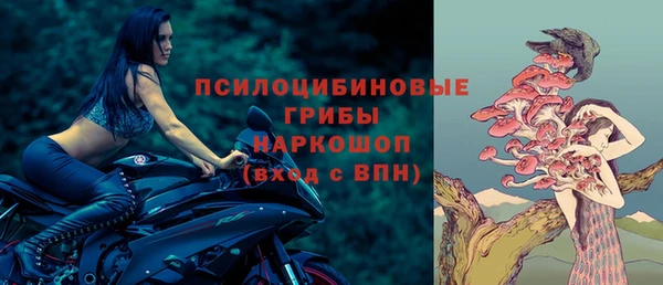 МДПВ Алзамай