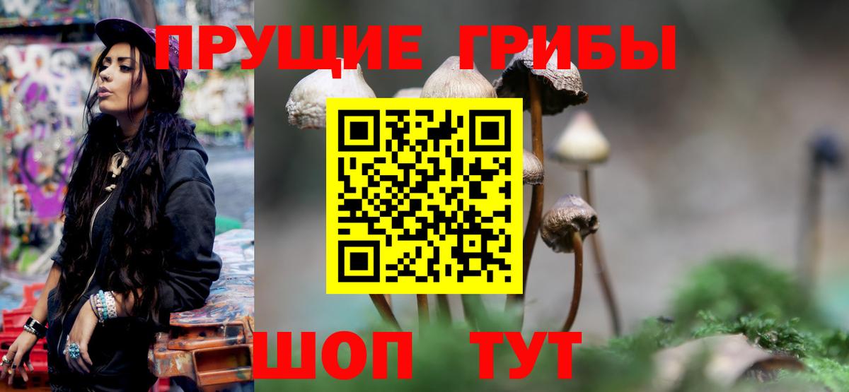 Шумерля  Псилоцибиновые грибы GOLDEN TEACHER  Вход с VPN 